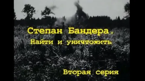 Бандера док2